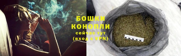 мяу мяу мука Дмитров