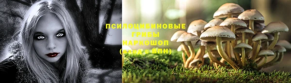 хмурый Дмитровск