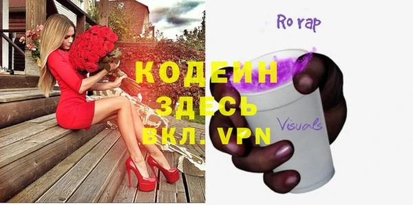хмурый Дмитровск