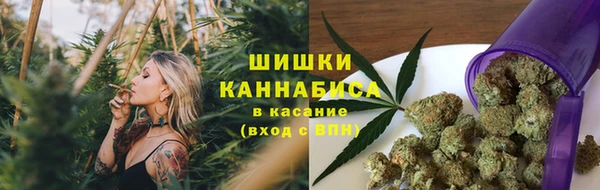 apvp Дмитриев